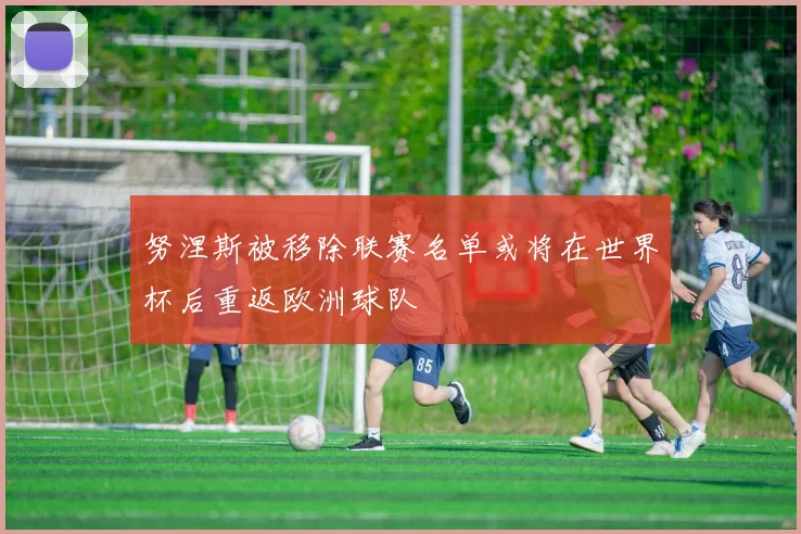 努涅斯被移除联赛名单或将在世界杯后重返欧洲球队